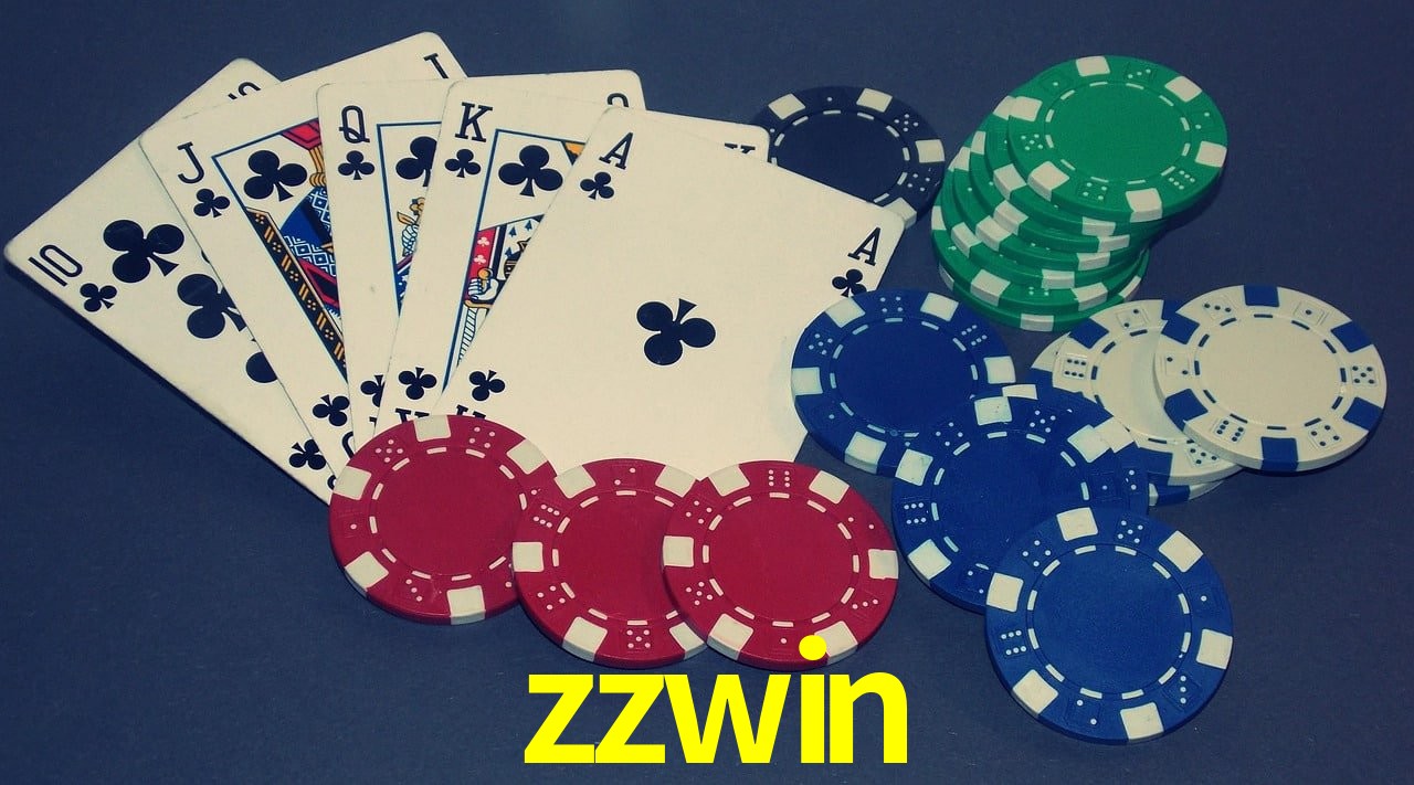Security Systems zzwin